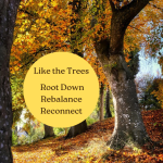 fall yoga